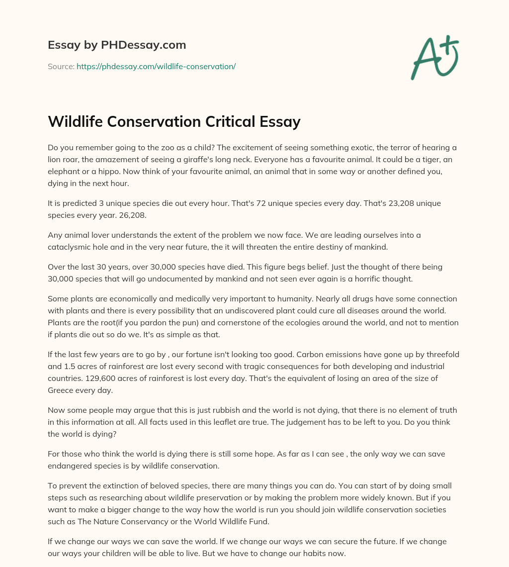 Wildlife Conservation Critical Essay (500 Words)