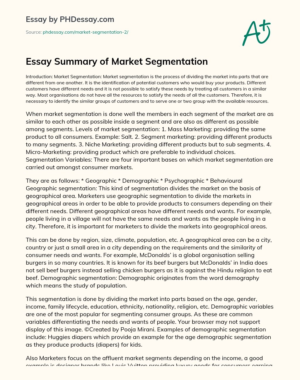Essay Summary Of Market Segmentation Example