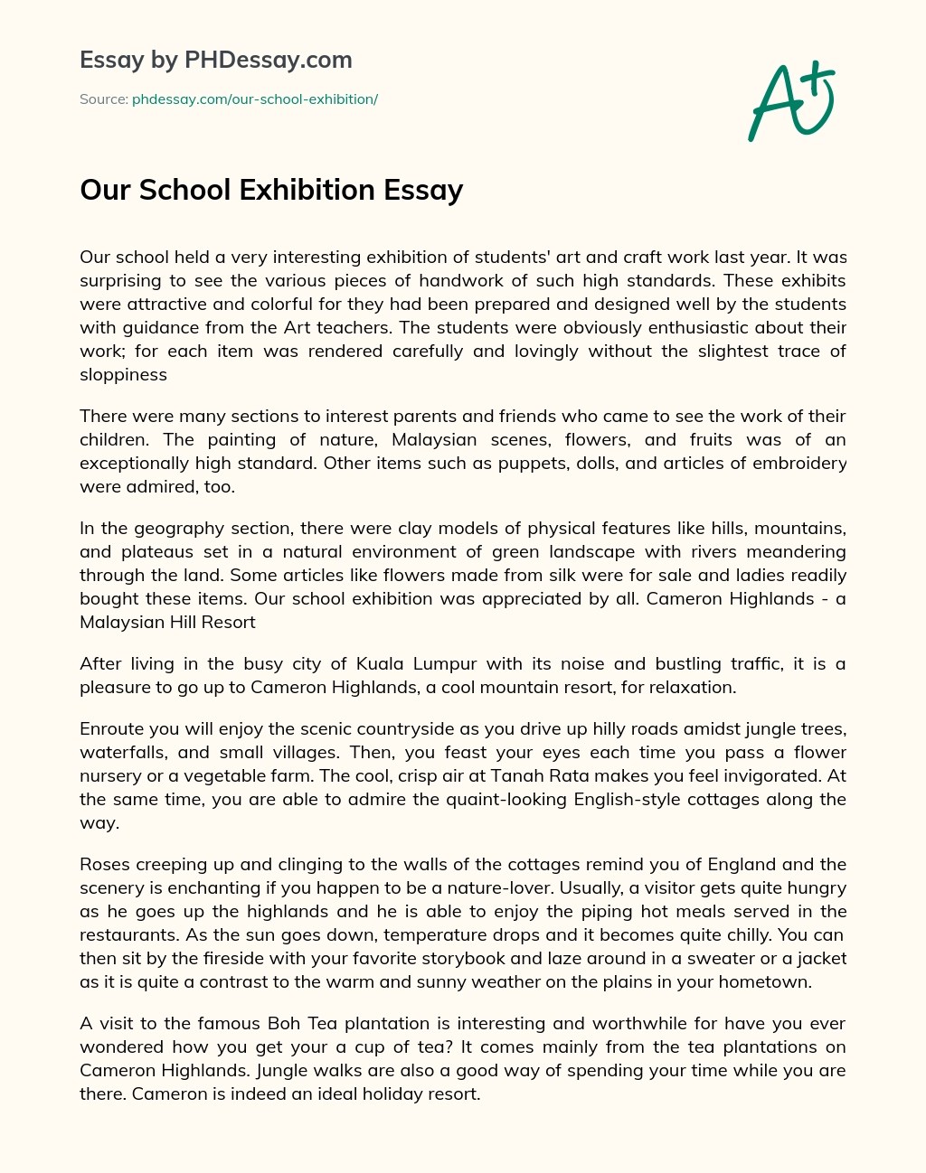 Our School Exhibition Report And Review Essay Example (400 Words