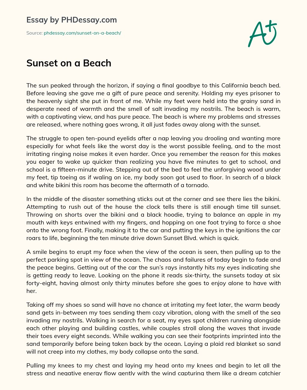 Descriptive Essay At The Beach Telegraph