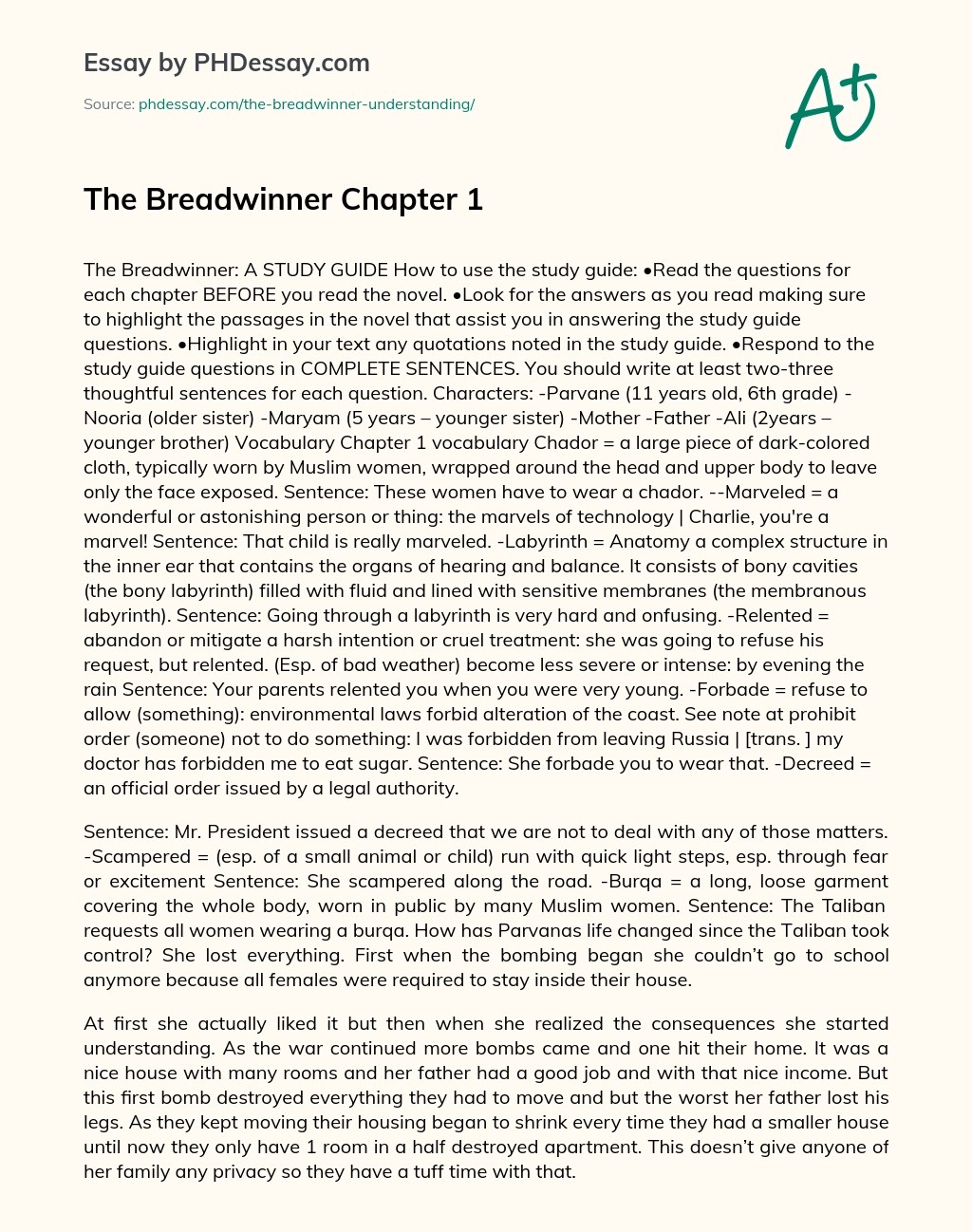 The Breadwinner Chapter 1 Summary Essay Sample