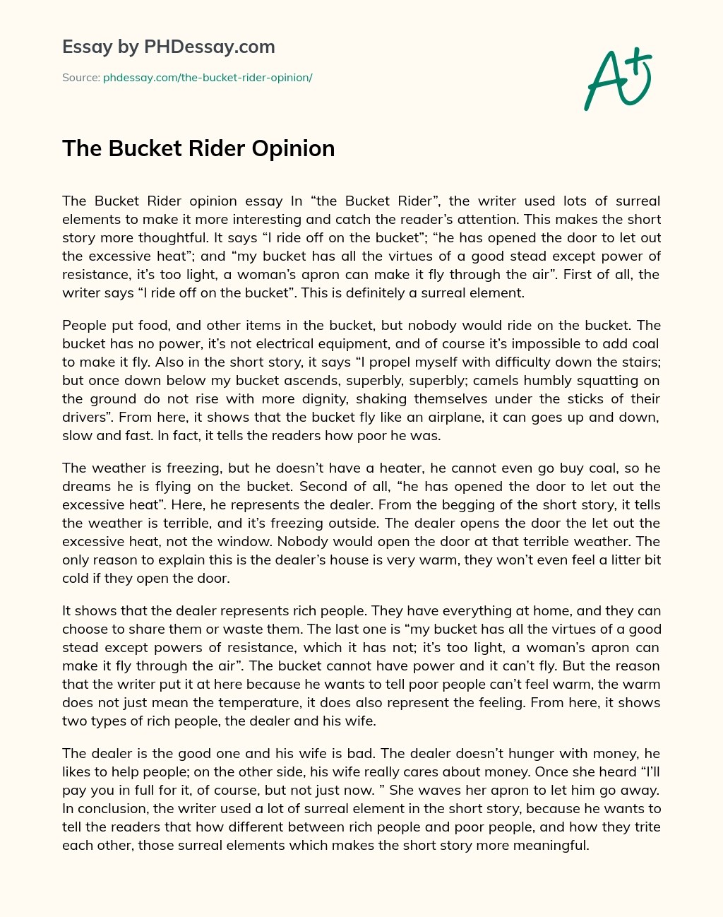 The Bucket Rider Opinion Essay Example (500 Words)