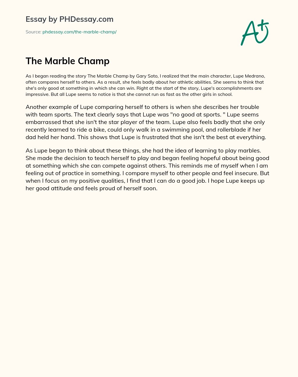 The Marble Champ Summary Essay Example (300 Words)