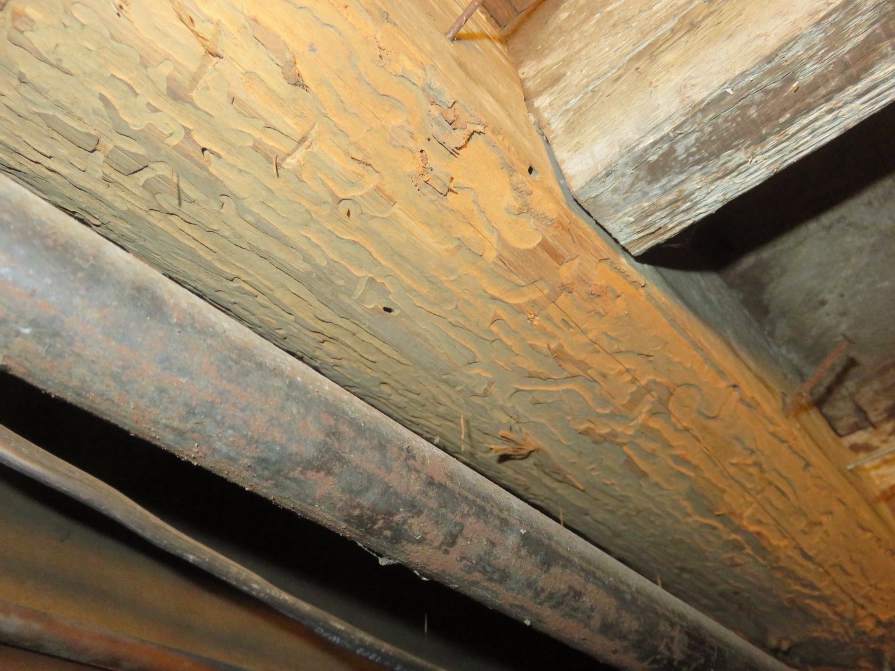 Photo Gallery Pheasant Hill Home Inspections