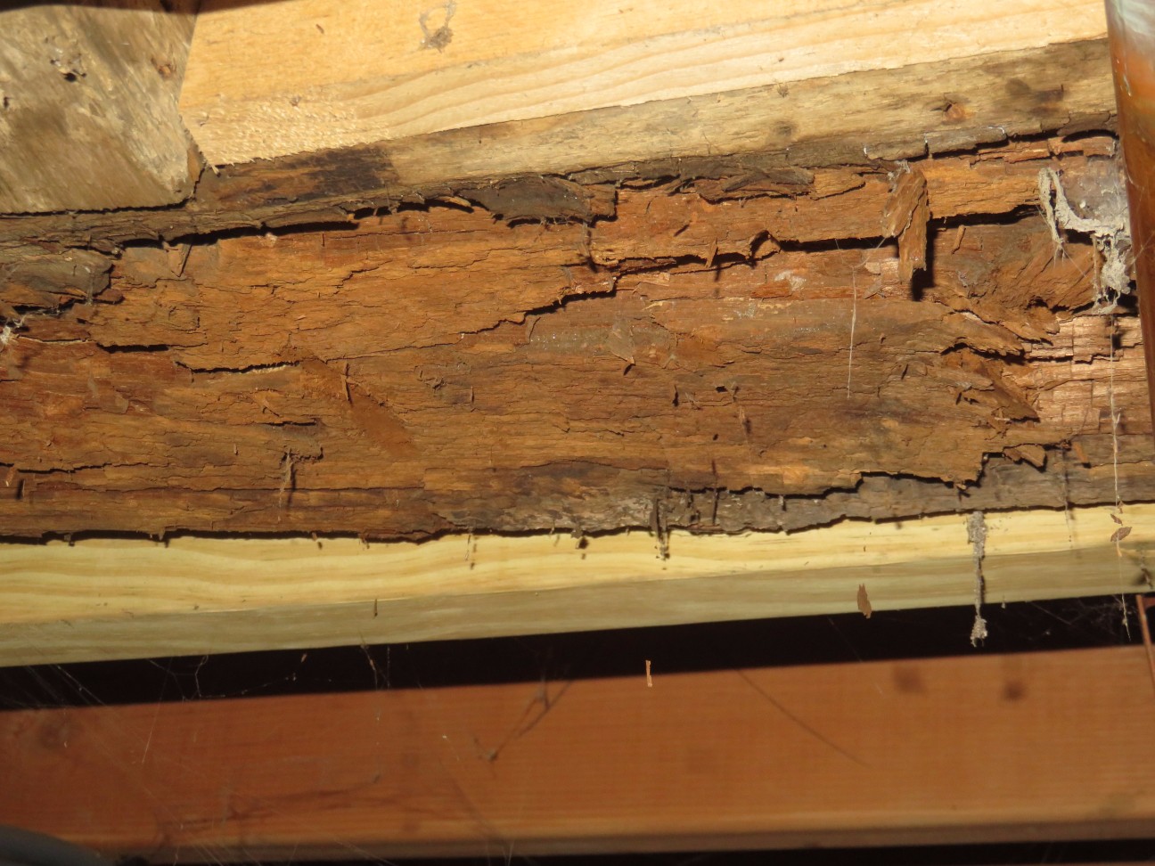 Photo Gallery Pheasant Hill Home Inspections