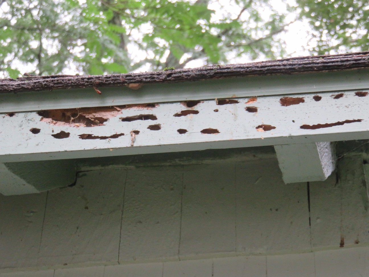 Photo Gallery Pheasant Hill Home Inspections