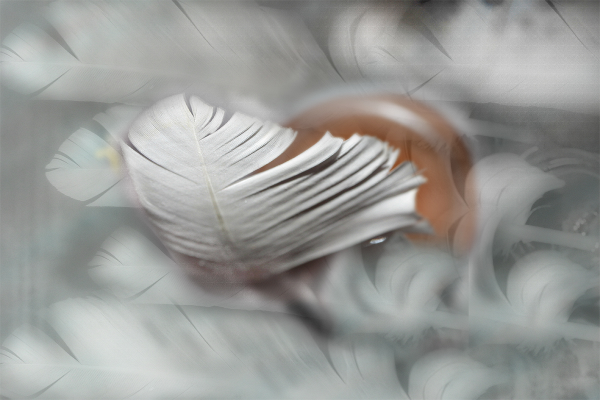 Alouette, je te plumerai Correctrice, rédactrice, écrivain, poète