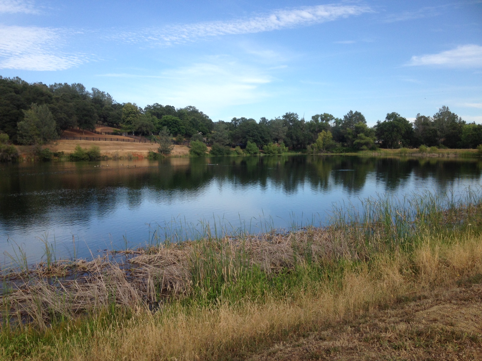 Pilot Hill Estates Pilot Hill Estates