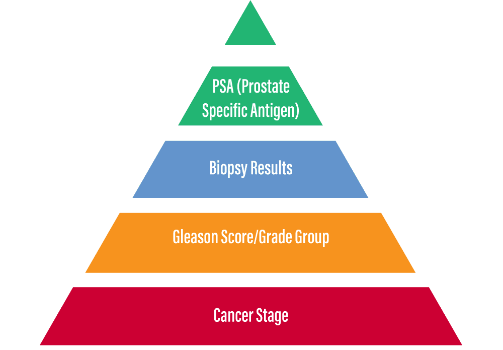 Understanding Prostate Cancer Risk Factors Prostate