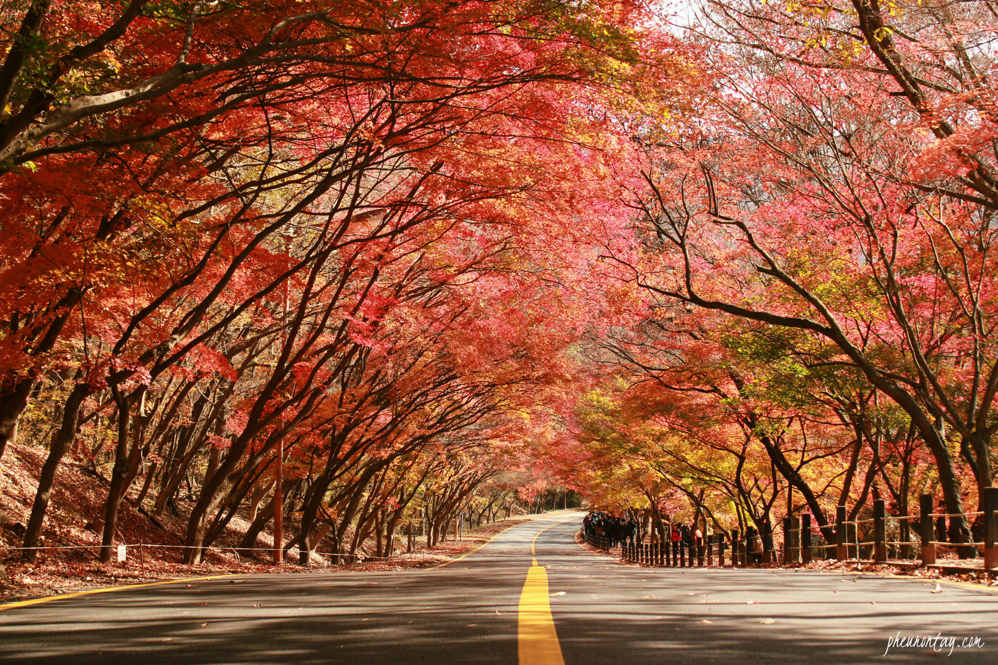 InsiderKR 4 BestKept Secret Places to See Autumn