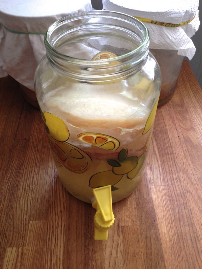 Continuous Brew KombuchaLearn the Basics phickle