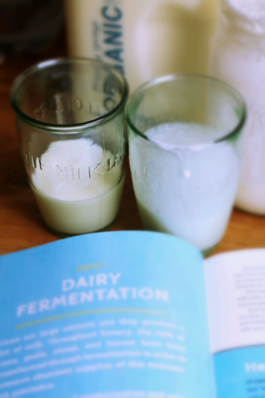 Dairy Fermentation phickle