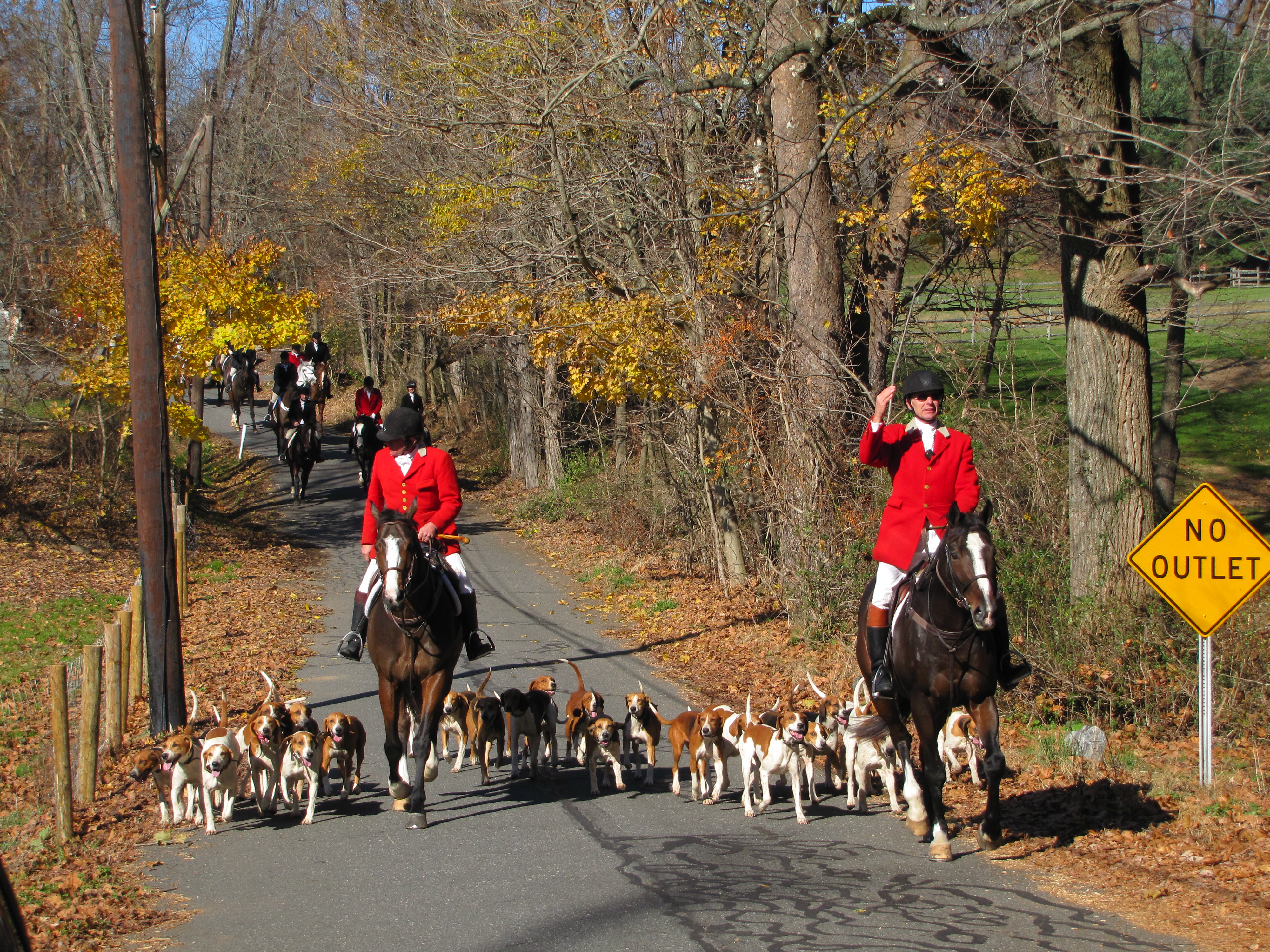 Encyclopedia of Greater Philadelphia Fox Hunting