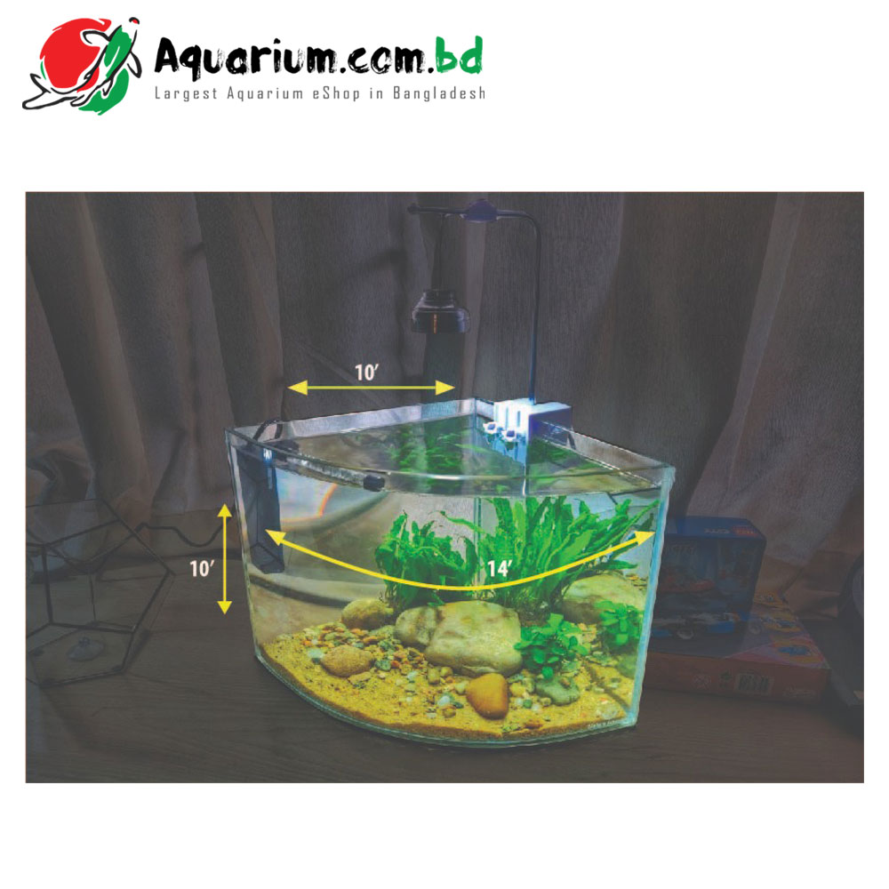 Round Triangle Shape Aquarium phila link