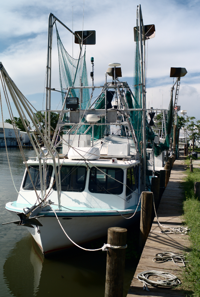 NOLA Day eight. Lafitte. Philip Forrest