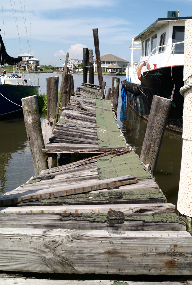 NOLA Day eight. Lafitte. Philip Forrest