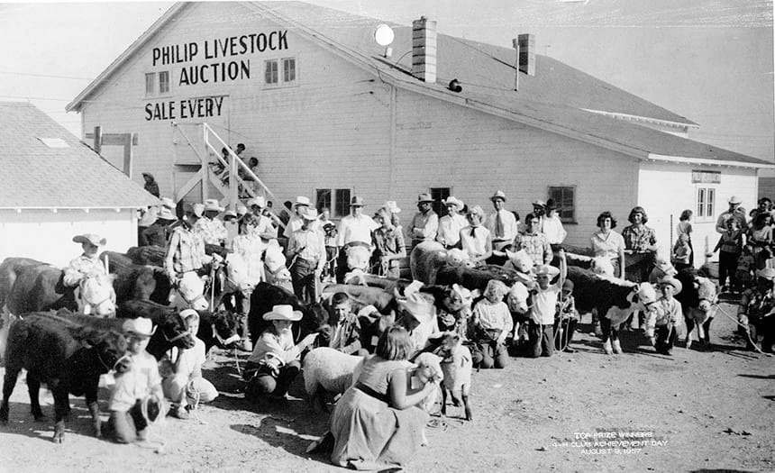 Philip Livestock Market