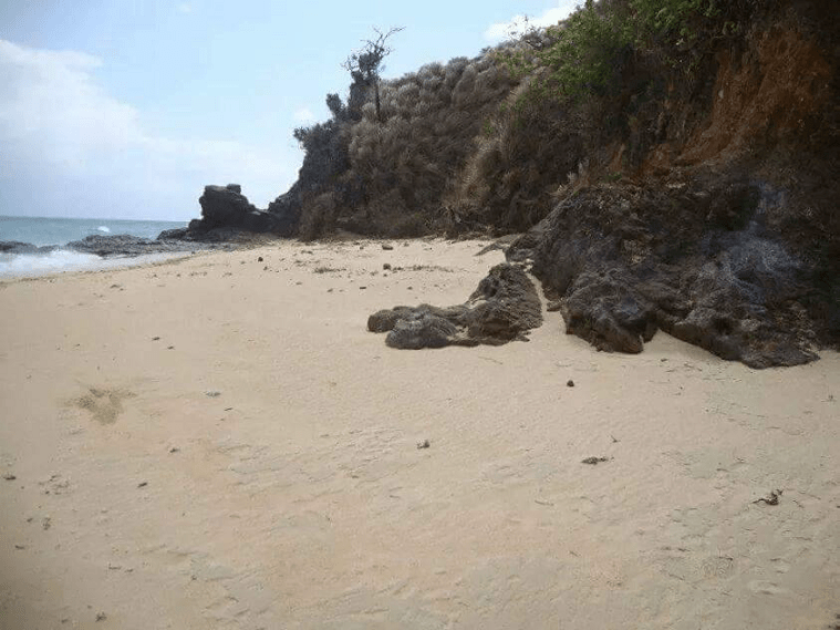 ROMBLON BEACH LOT FOR SALE FOR DEVELOPMENT PhilXPat Real Estate