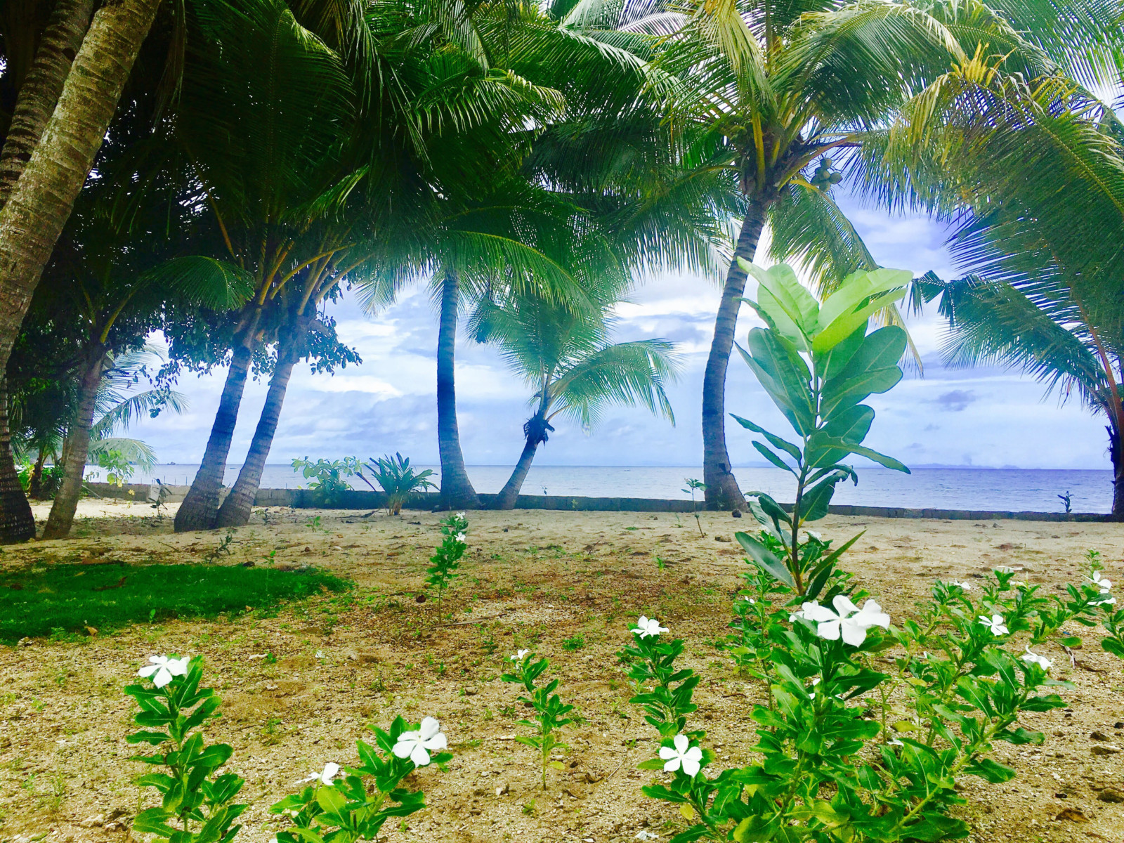 SIQUIJOR BEACH RESORT FOR SALE IN SAN JUAN PhilXPat Real Estate