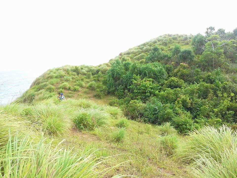 ROMBLON BEACH LOT FOR SALE FOR DEVELOPMENT PhilXPat Real Estate