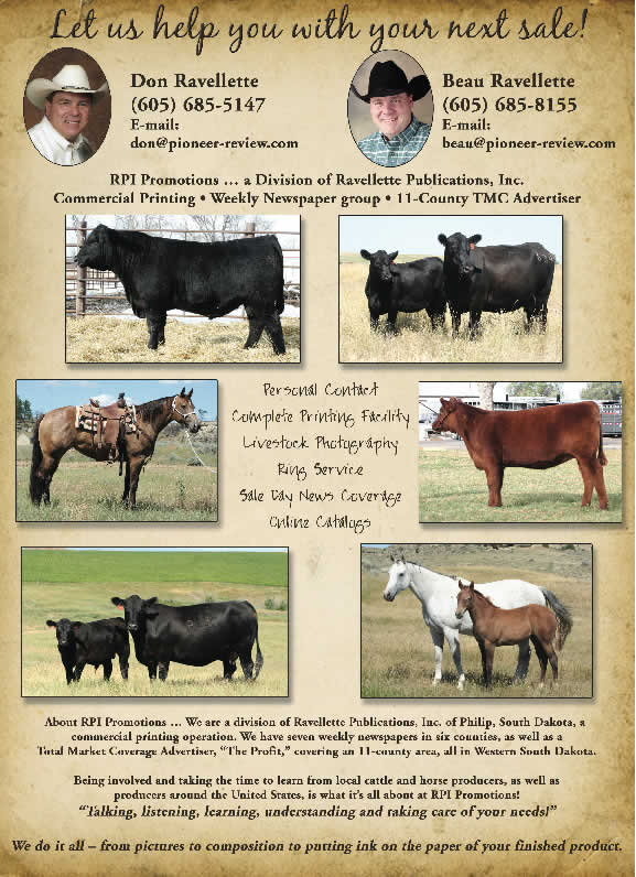 RPI Promotions Pioneer Review