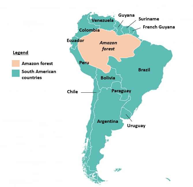 The Amazon in crisis soylinked deforestation, illegal goldmining