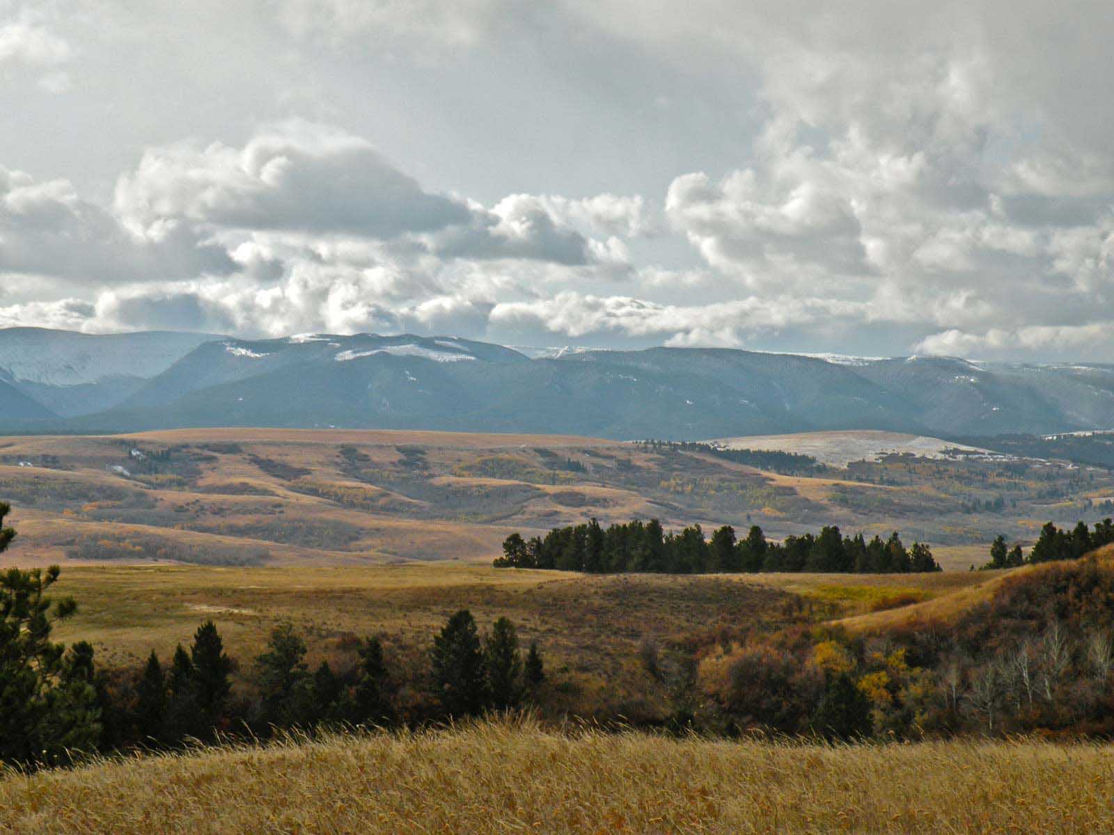 Phillips Realty Montana Ranches For Sale Big Snowy Mountains