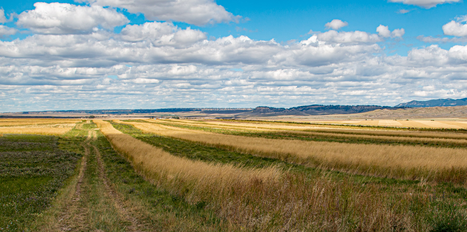 Sold! Prairie Wing Ranch100 acresLewistown, Montana Asking Price