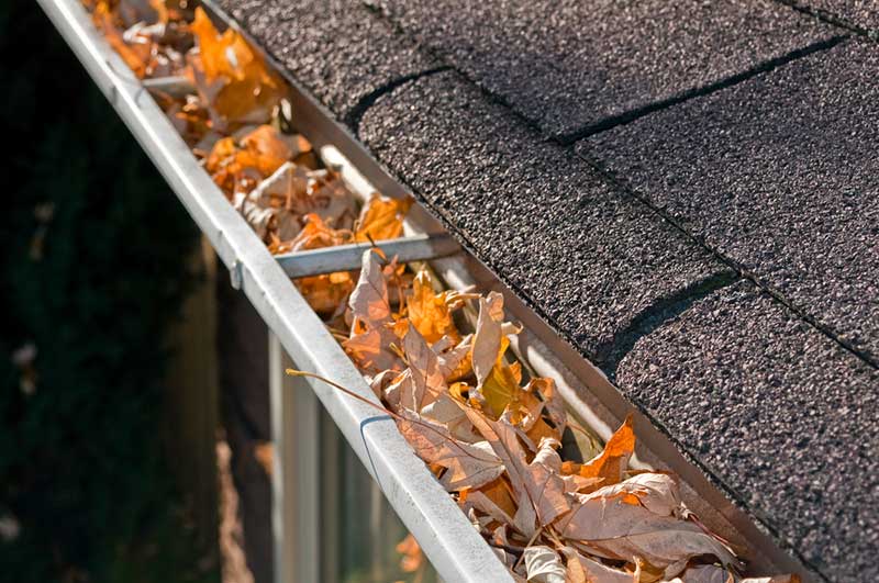 How Regular Gutter Cleaning And Maintenance Can Protect Your Roof