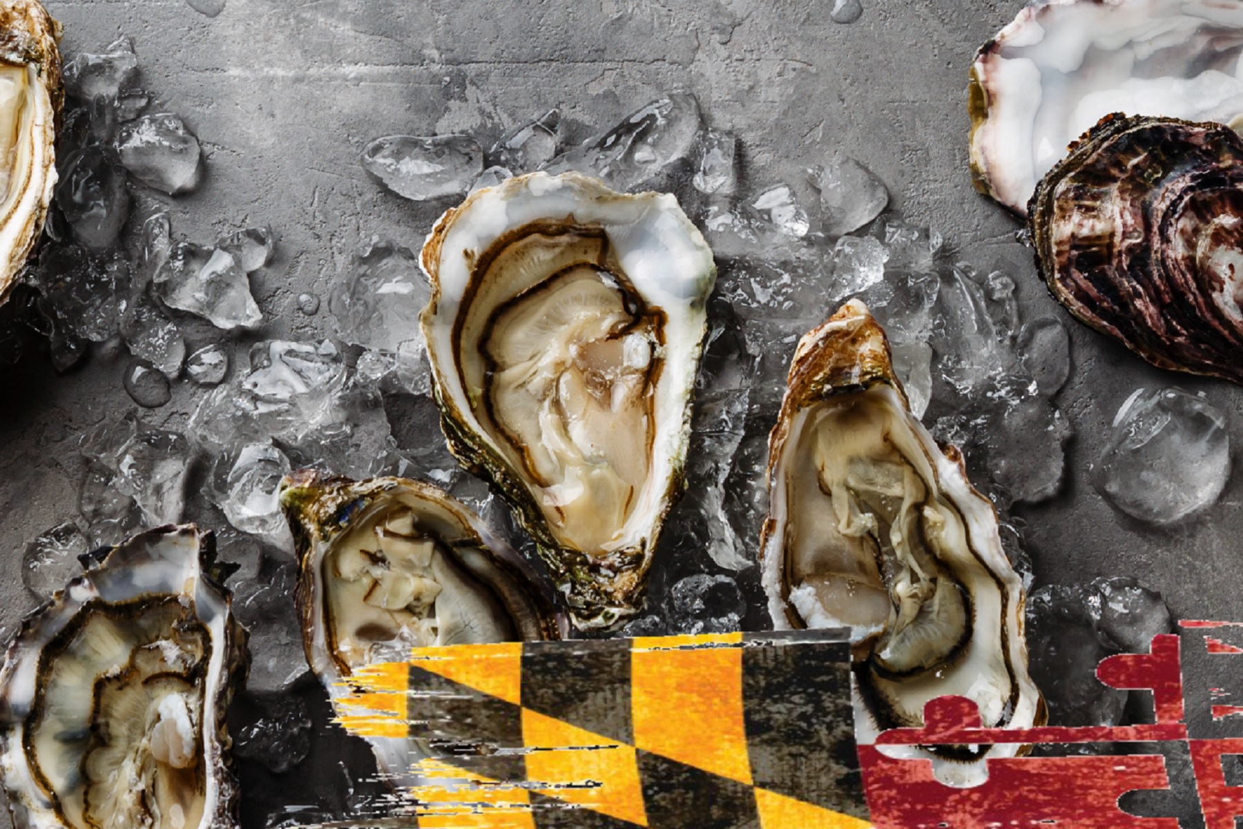 Shucktober Fest Oyster Celebration Phillips Seafood Restaurants