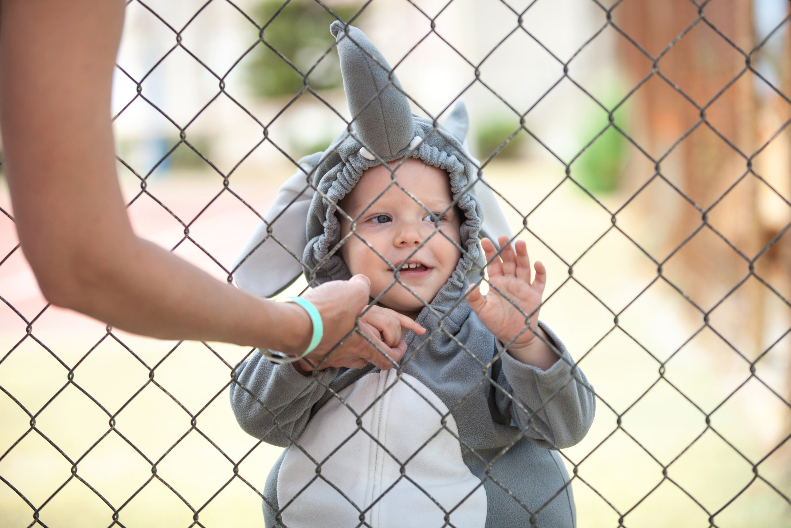 Cute little boy in elephant costume playing behind the net Philly Happening