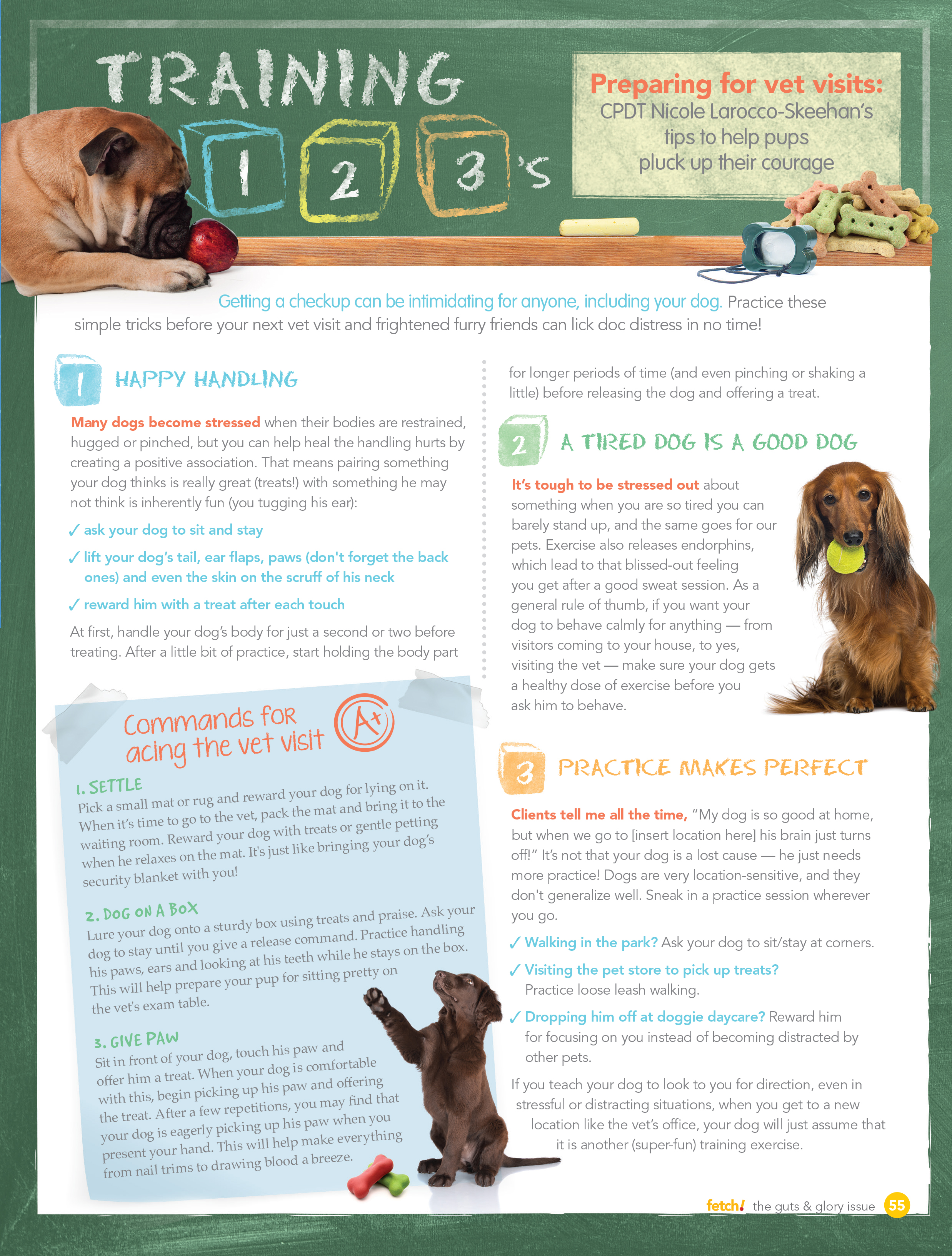 Preparing Your Dog For A Visit To The Vet