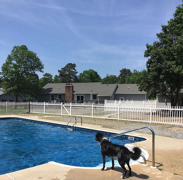pool Philly Unleashed