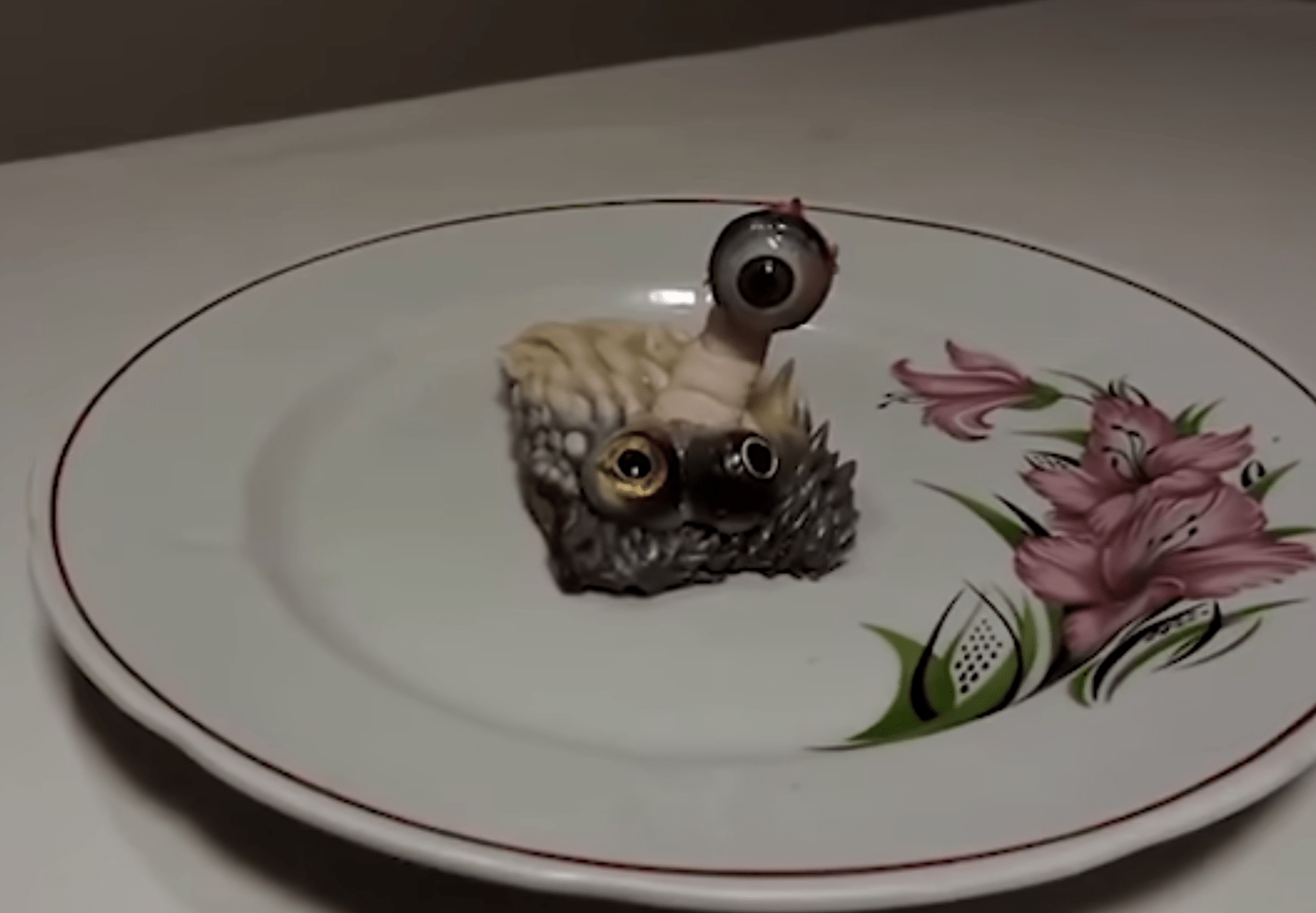 Man Injects Human Sperm to Chicken Egg, Result Gain Various Reactions