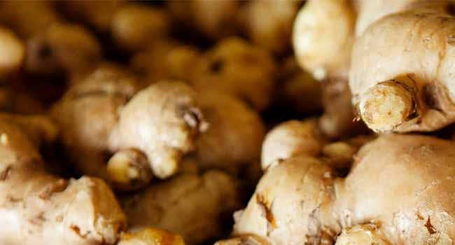 What Is the Scientific Name Of Ginger? (ANSWERS)