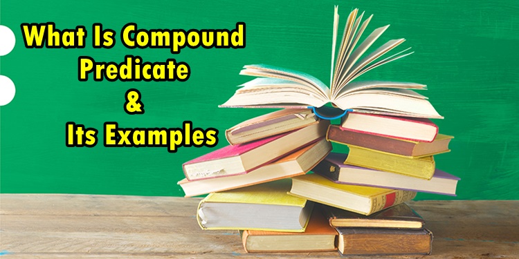 What Is Compound Predicate & Its Examples — A Guide in Learning English