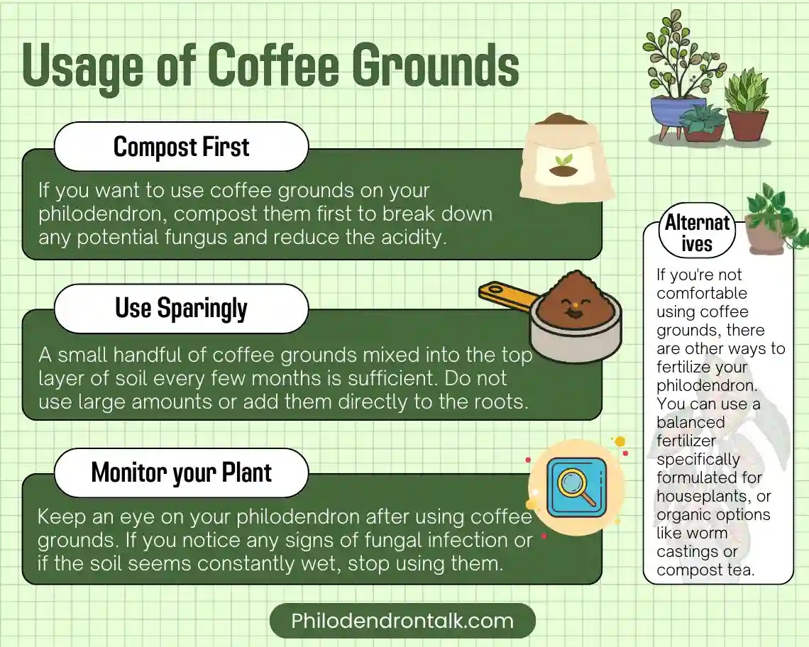 How Should You Use Coffee Grounds on Philodendron Plants?