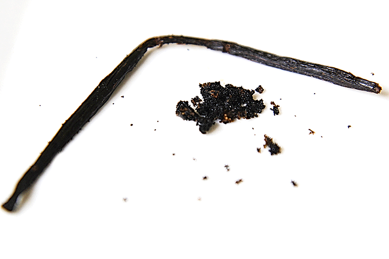 vanilla bean
