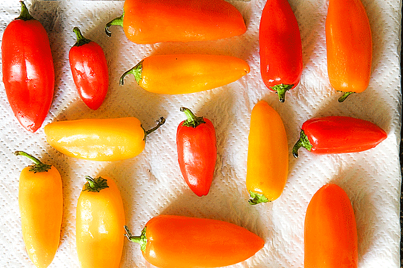 mini bell peppers