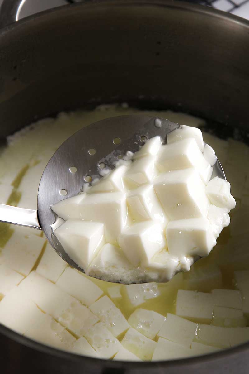 HOMEMADE FRESH CHEESE ready in a few hours!