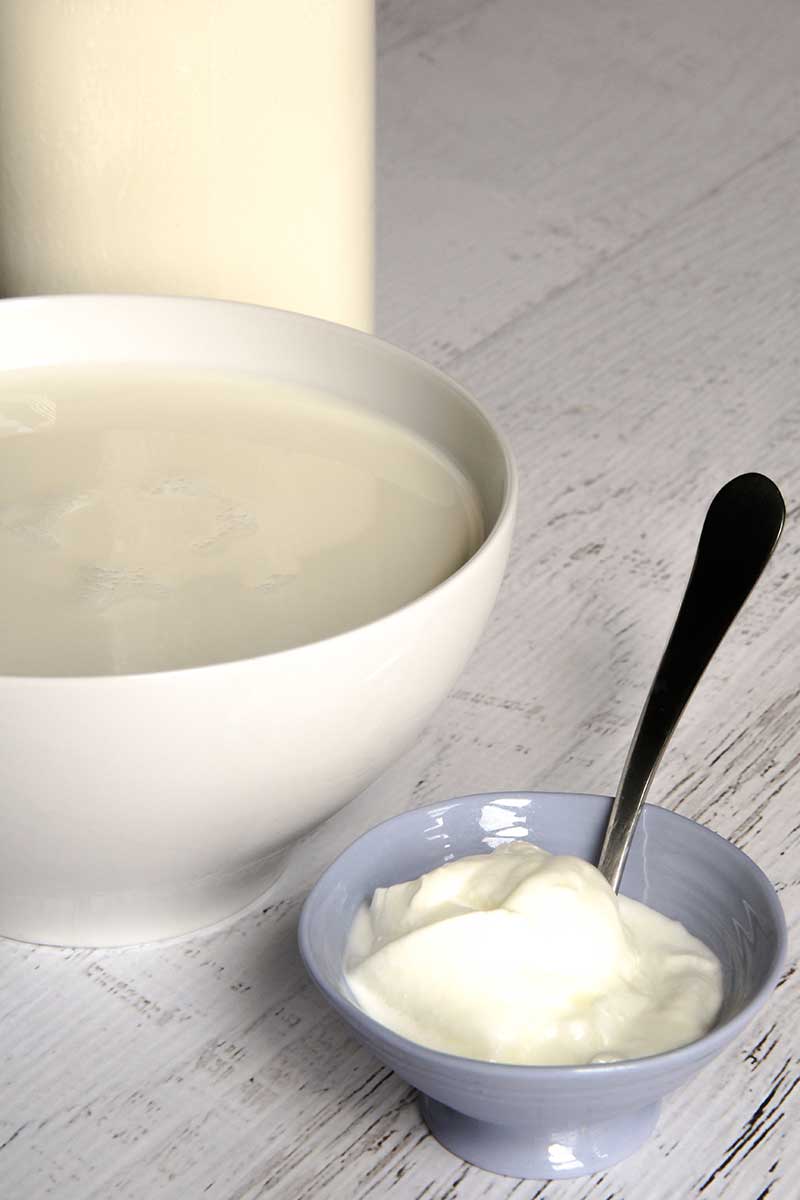HOMEMADE FRESH CHEESE ready in a few hours!