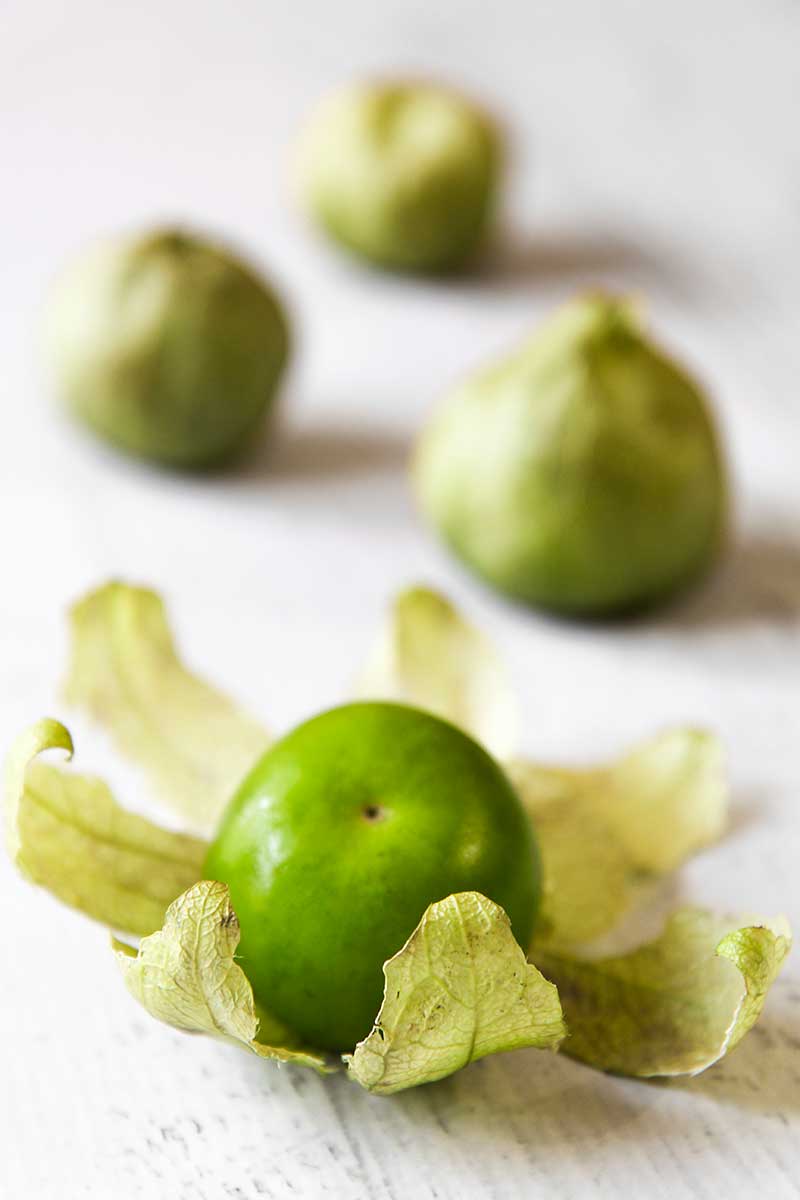 Tomatillo guacamole
