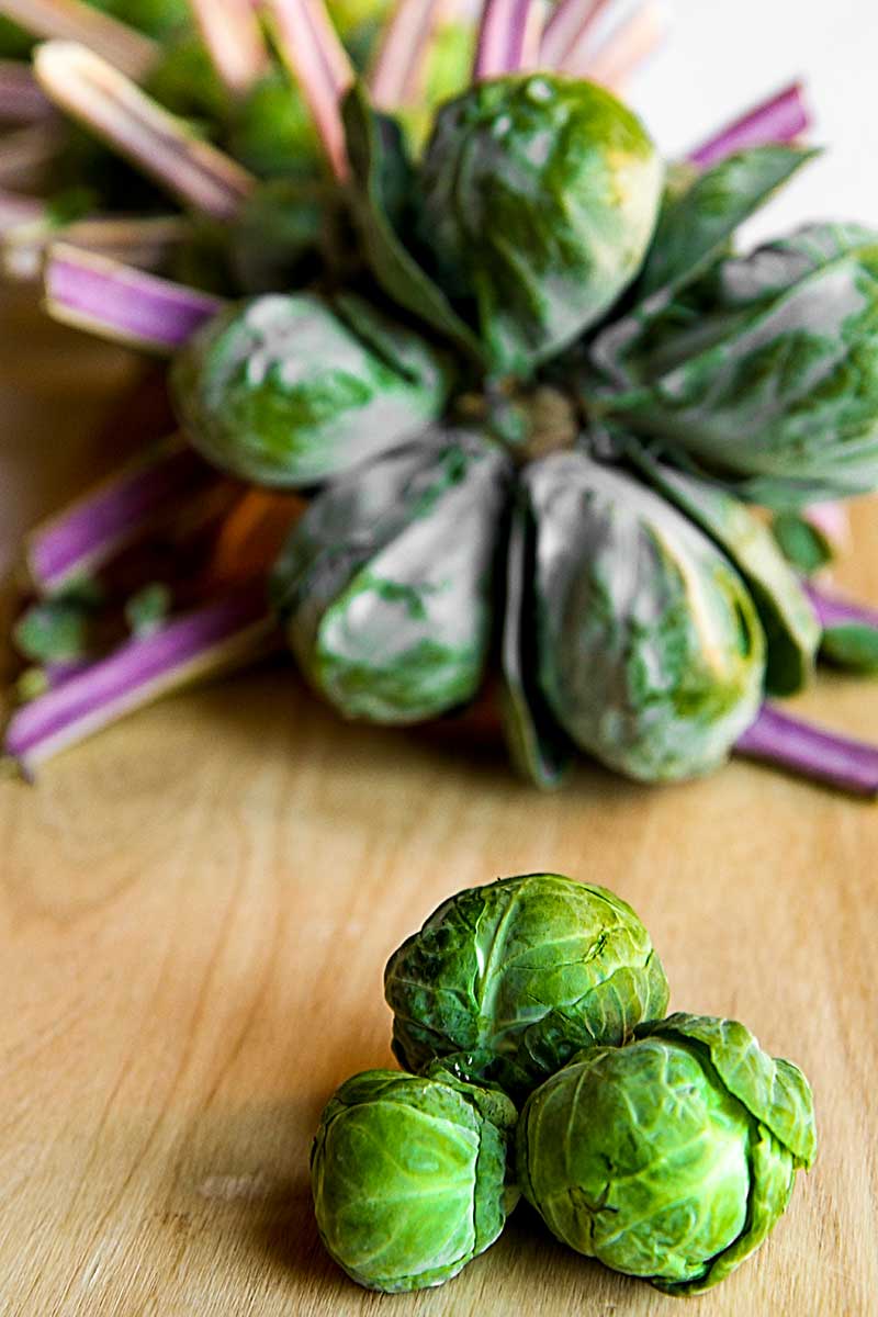 STIR-FRIED SAUSAGES with red potatoes and Brussels sprouts