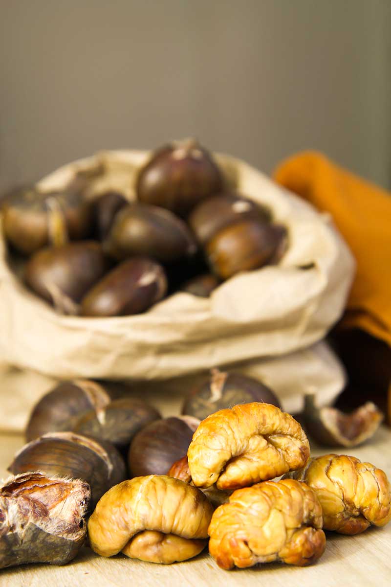 ROASTED CHESTNUTS RECIPE caldarroste
