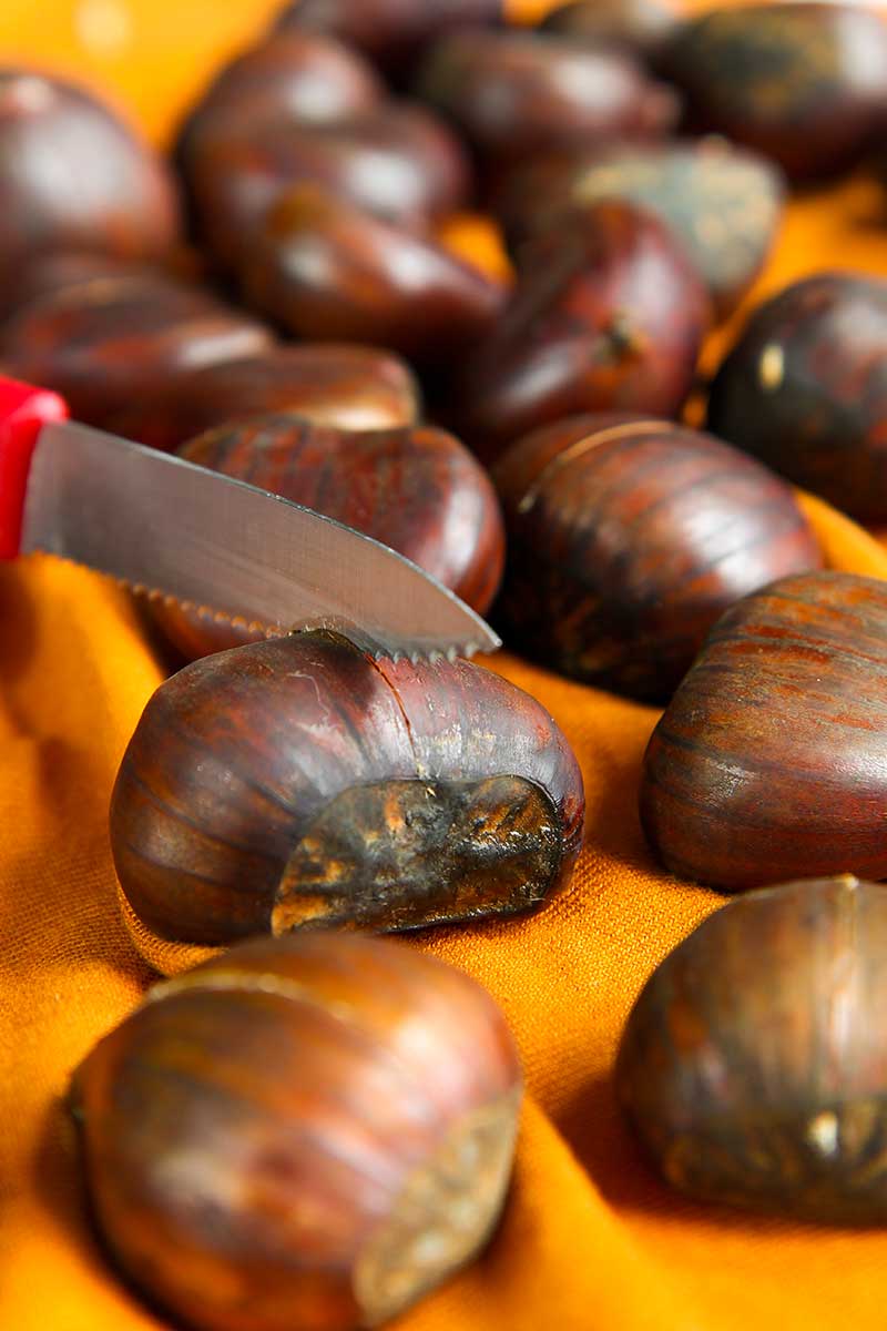 ROASTED CHESTNUTS RECIPE caldarroste