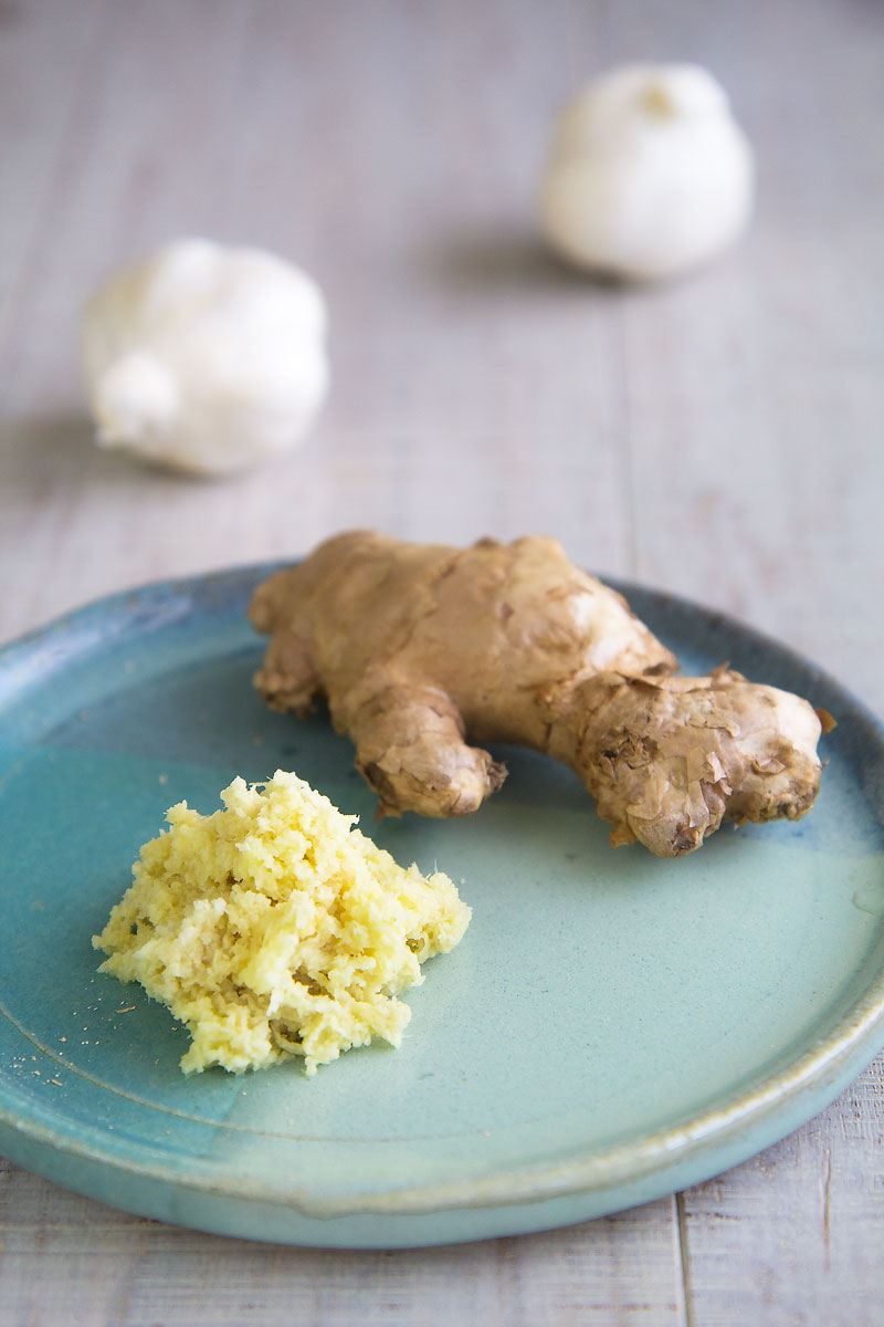 SHISH TAWOOK (SHISH TAOUK): Levantine chicken skewers