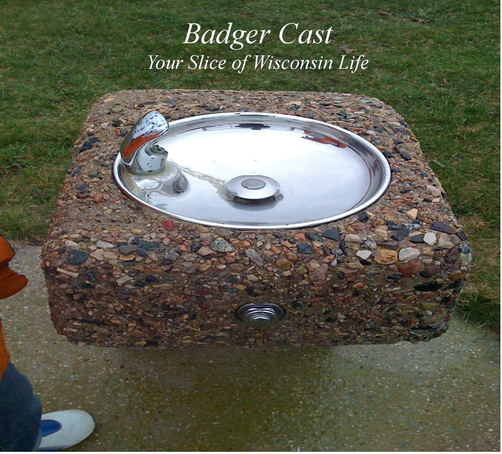 Badger Cast 17 Bubbler vs. Drinking Fountain?