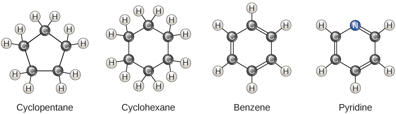 Carbon · Biology