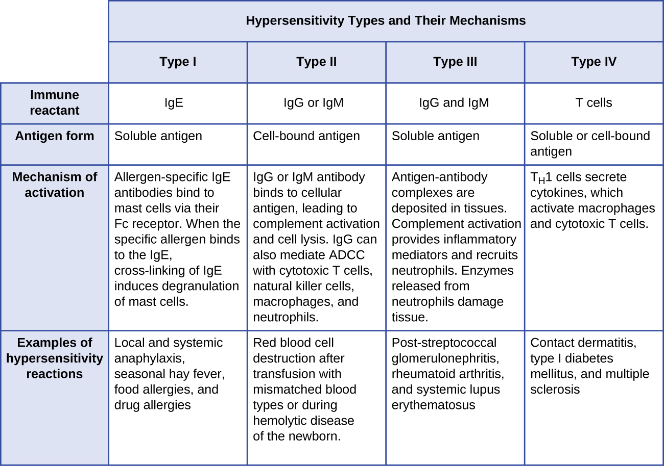 Hypersensitivities · Microbiology