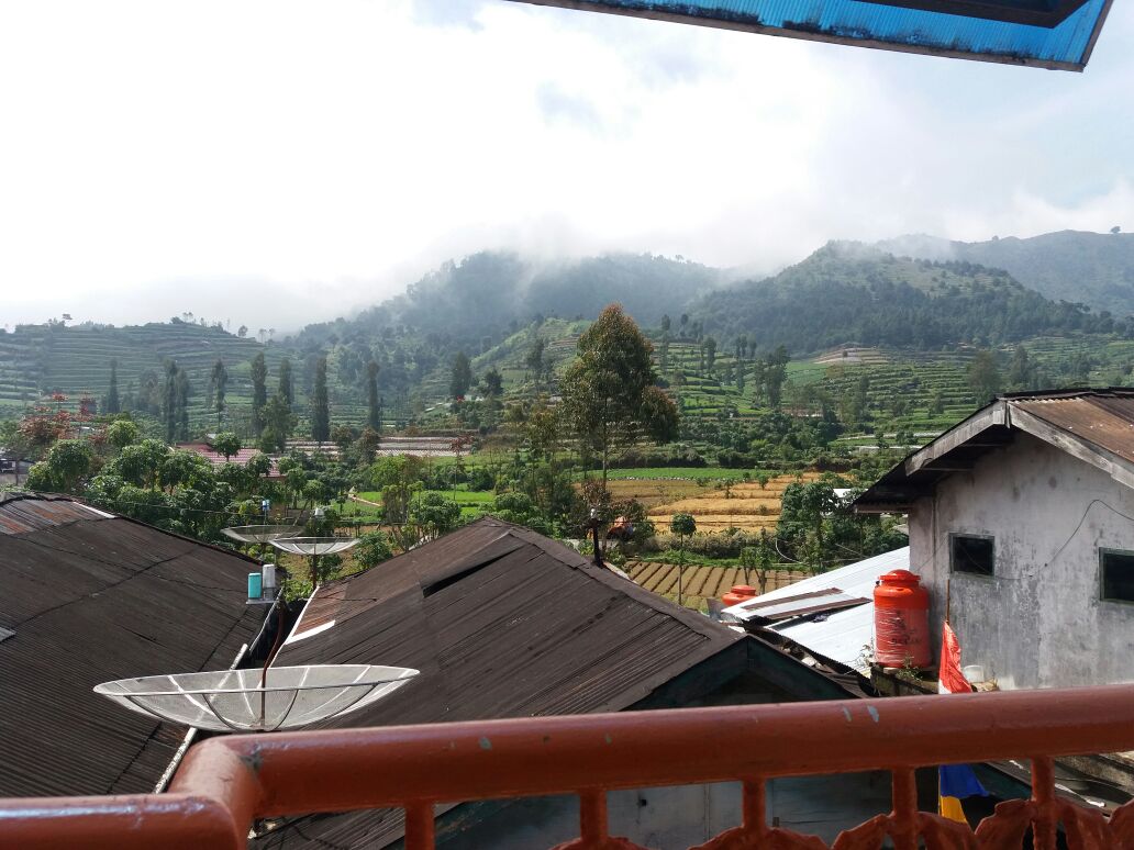 Ini Daftar Homestay yang Masih Bisa Dipesan Saat Dieng